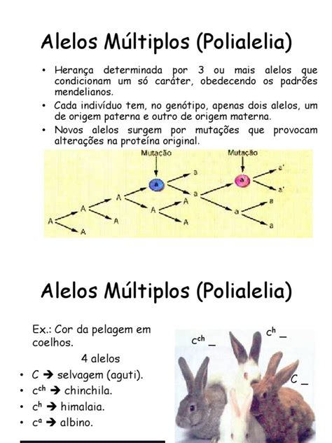 Alelos Múltiplos ou Polialelia .